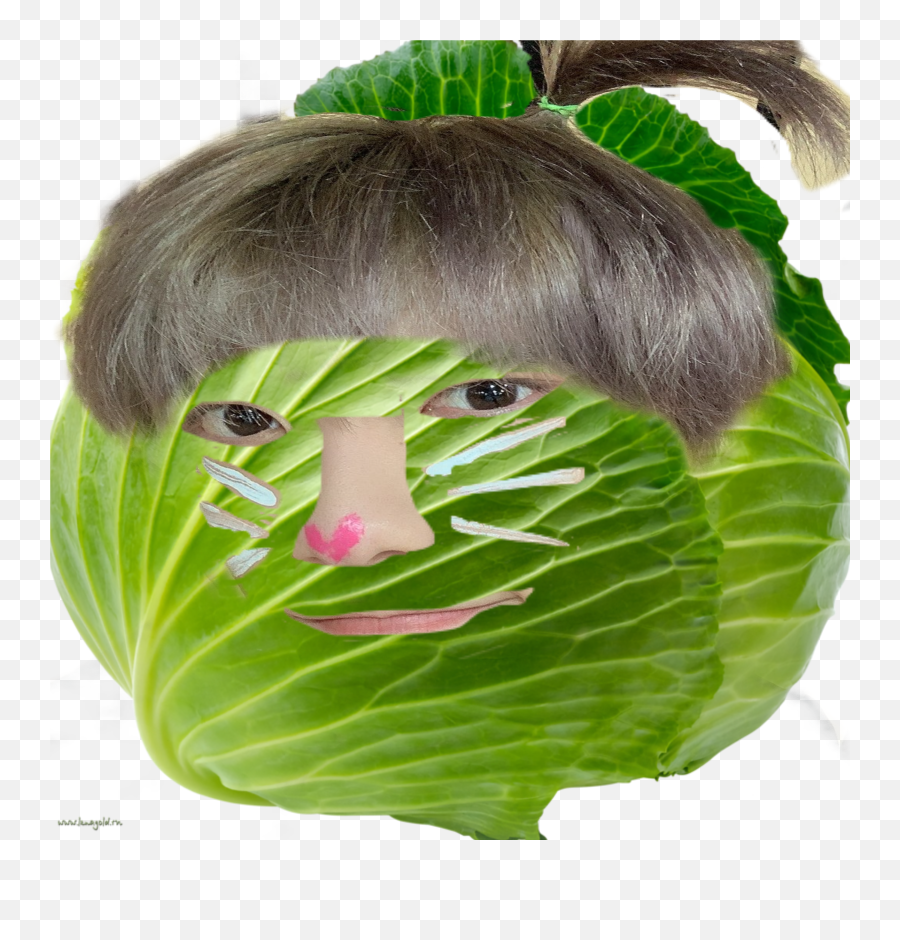 Soobin Cabbage Nekoboy Vegetable Sticker By Chaeberry Png Transparent Background