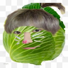 Soobin Cabbage Nekoboy Vegetable Sticker By Chaeberry Png