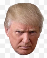 Donald Trump Crippled America United - Serious Face png