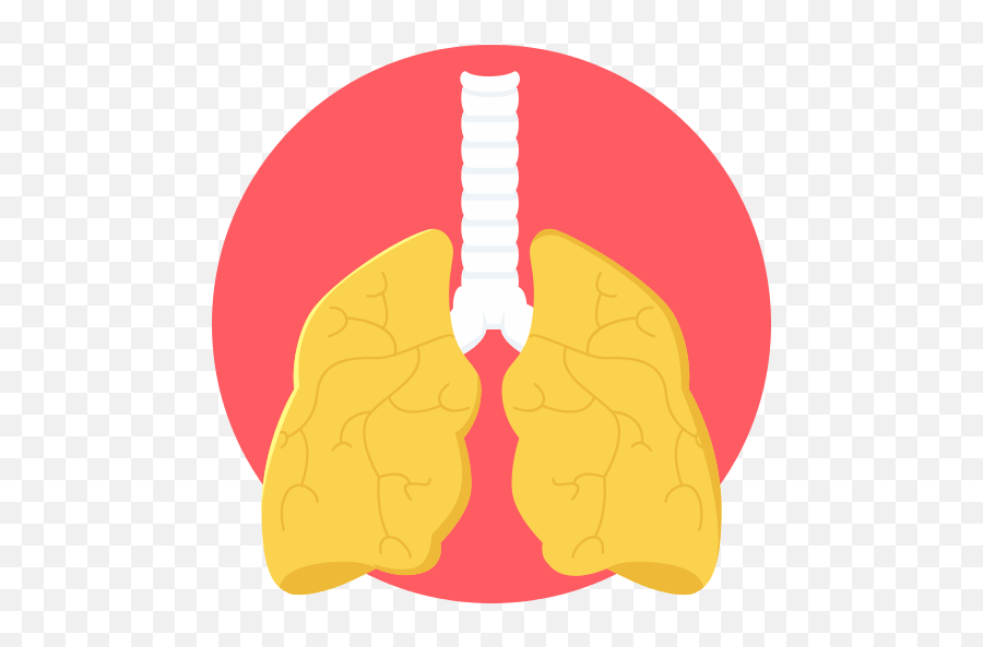 Lungs Lung Png Icon - Lung Png,Lung Png