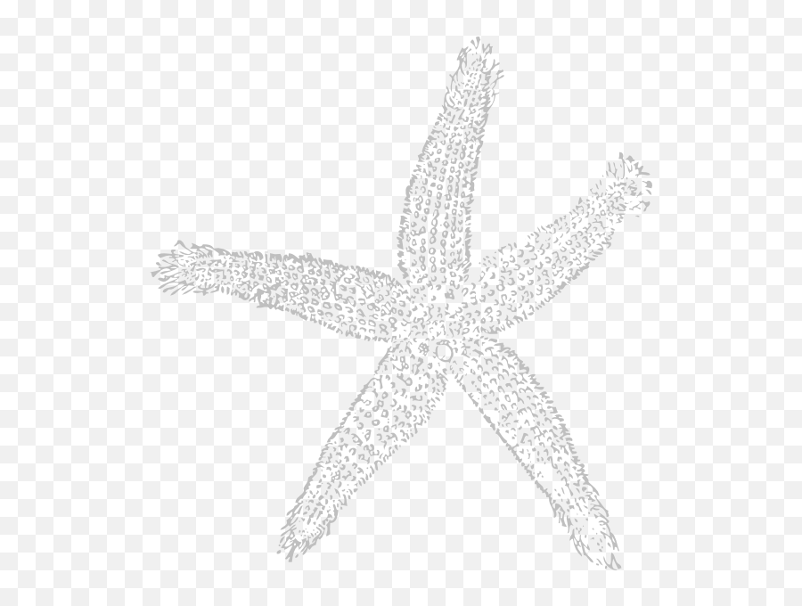 Star Fish Light Gray Png Clip Arts For - Fish Clip Art,Star Fish Png