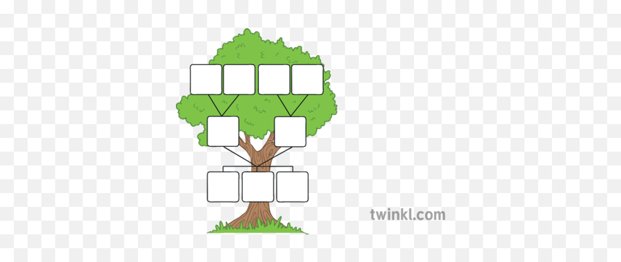 Family Tree Template Illustration - Twinkl Family Tree Template Spanish Png,Family Tree Png