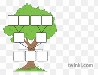 Family Tree Template Illustration - Twinkl Spanish png