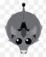 Donkey - Wild Boar png