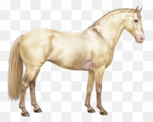 Ph Champagne Toast - Viewing Horse Equiverse Amber Ivory png