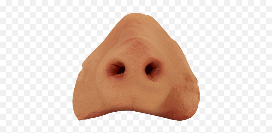Nose Png 7 Image - Pig Nose,Nose Png