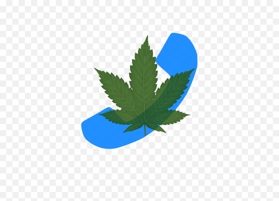 Cannabis Advertising - Marijuana Leaf Clip Art Png,Marijuana Plant Png