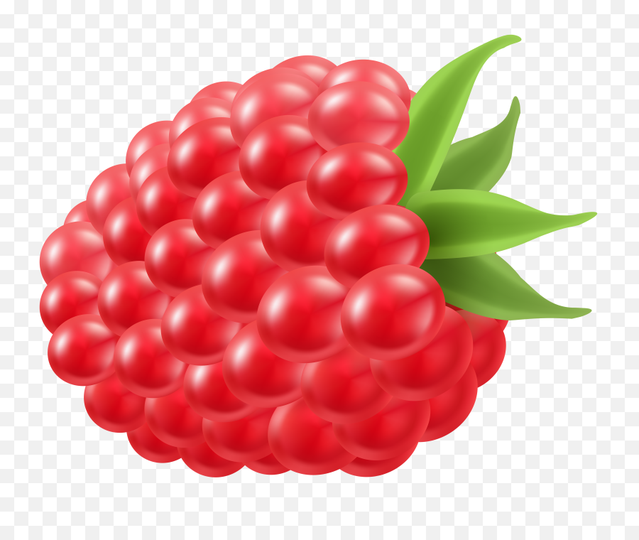 Raspberry Clipart Png - Raspberry Clipart Png,Fruit Clipart Png