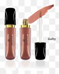 Aniise Pro Matte Metallic Lip Stains - Fashion Brand png
