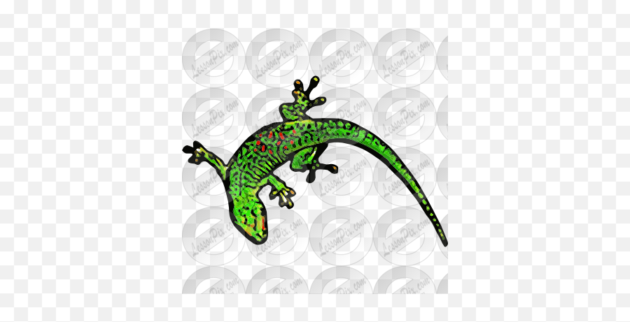 Gecko Picture For Classroom Therapy Use - Great Gecko Clipart Crocodile Png,Gecko Png