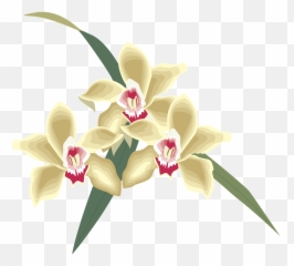Flower Icon Symbol - Free image Pixabay Christmas Orchid png