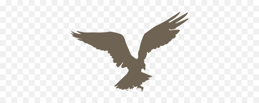 Eagle Silhouette Vector U0026 Templates Ai Png Svg - Siluetas De Aguilas Volando,True Icon Of Sin