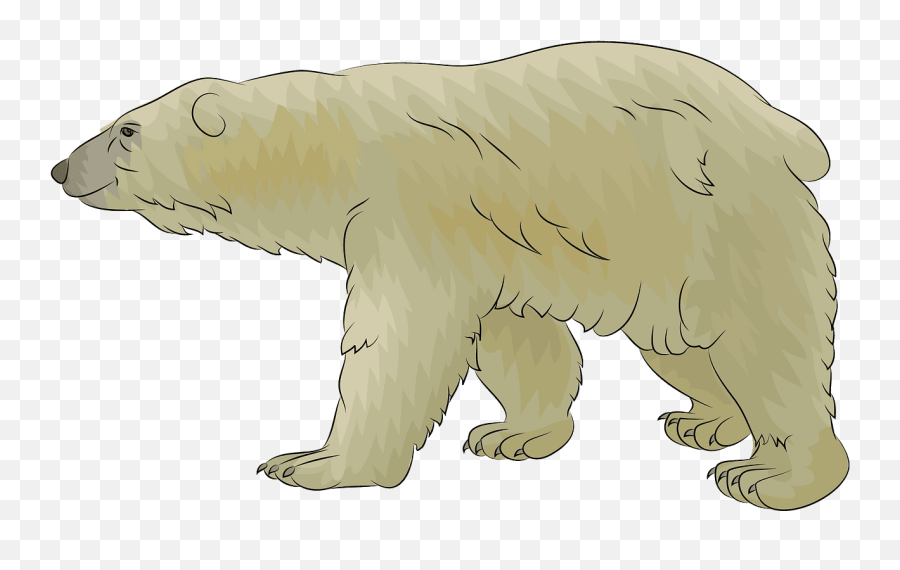 Polar Bear Clipart Transparent - Clipart World Polar Bear Clipart Transparent Png,Snow Bear Icon Png