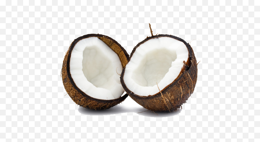 Coconut Duo Transparent Png - Coconut Free,Coconut Png