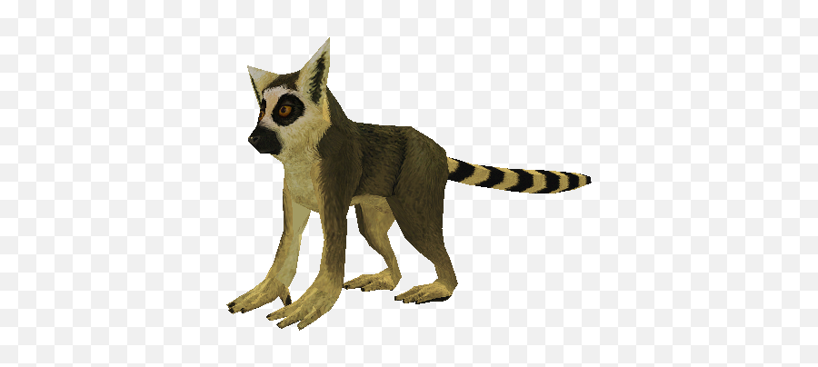 Pc Computer - Zoo Tycoon 2 Ring Tailed Lemur Baby The Zoo Tycoon 2 Ring Tailed Lemur Png,Lemur Png