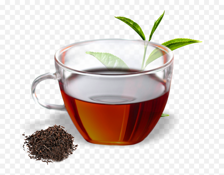 Tea Black Transparent Png Clipart - Green Tea Cup Png,Tea Png
