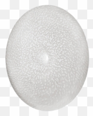 Crater - Lampade Made In Italy Design Circle Png,Crater Png