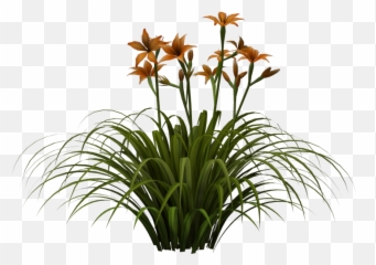 3d Lily S2699842989 Background V13 Png - Portable Network Graphics,Lily Png