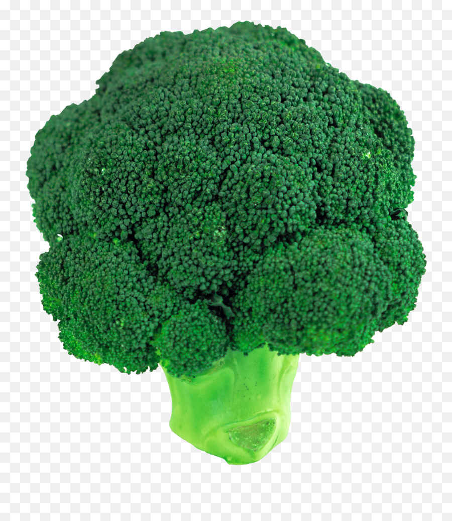 Broccoli Clipart Png Picture - Broccoli,Brocolli Png