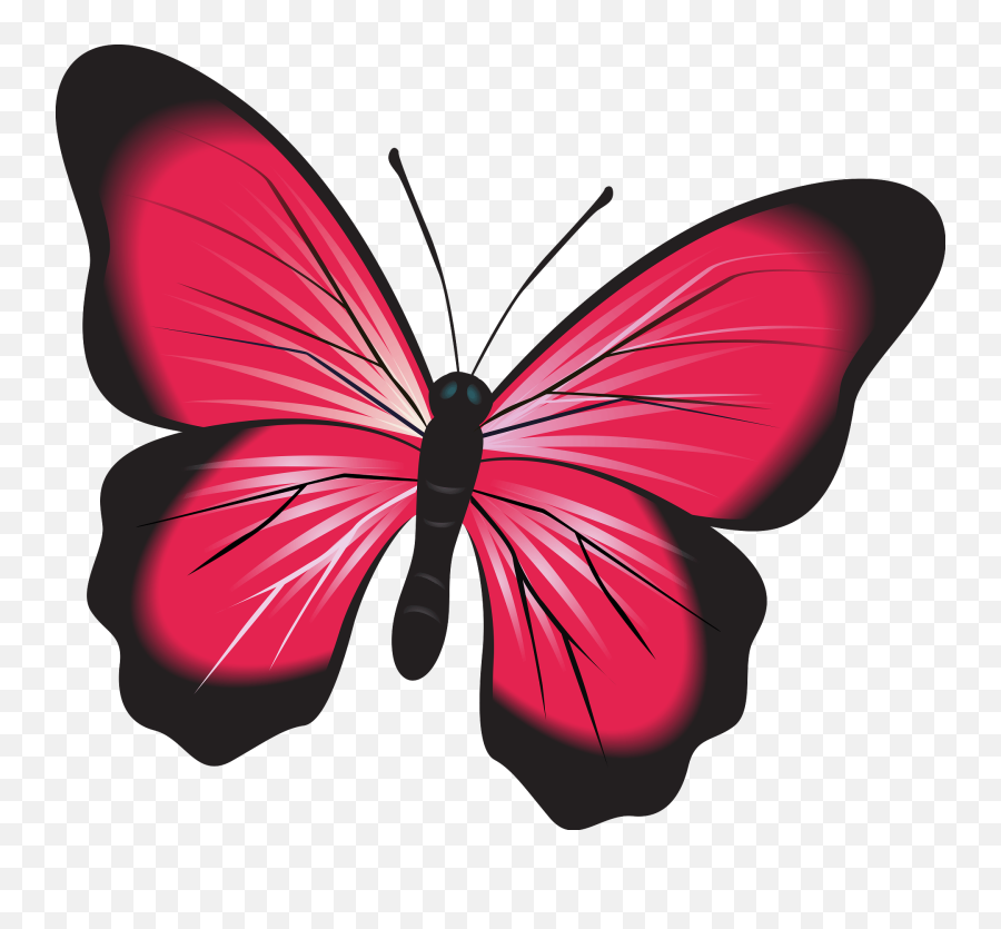 Butterfly Pink Clip Art Insect Nature Natural Bug Fluturi Clipart Papillon Png Free Transparent Png Images Pngaaa Com