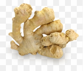 Ginger Png - Kunyit Putih Png,Ginger Png