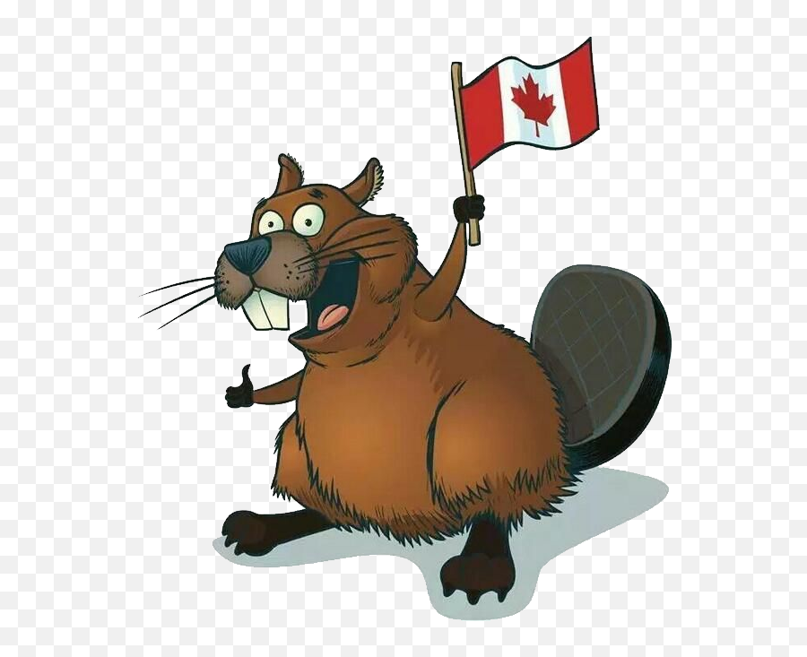 Beaver Png - Beaver Holding Canadian Flag,Beaver Png