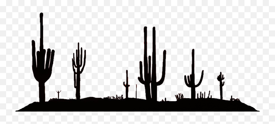 Download Hd Desert Silhouette Png - Desert Silhouette Png,Desert Png