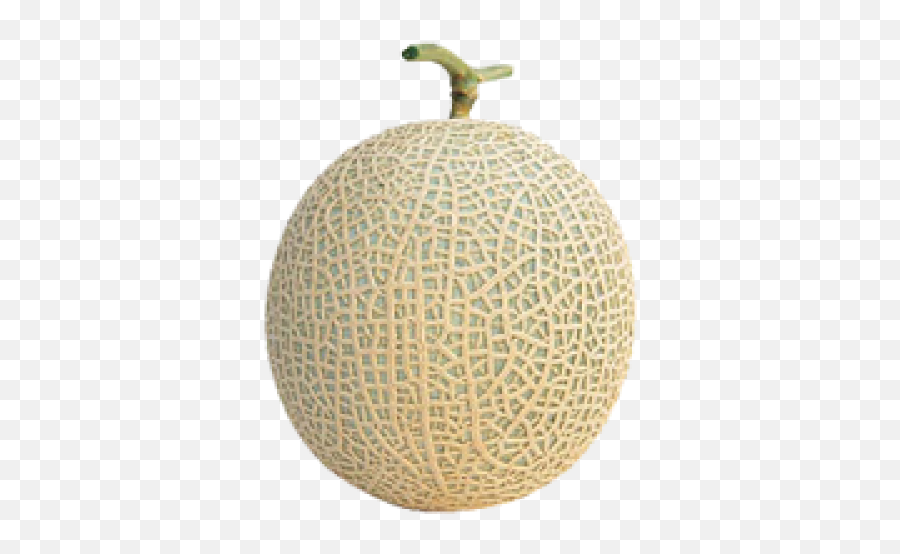 Japan Melon - Japan Melon Png,Melon Png