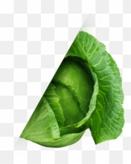 Irish Png - Cabbagemin 758752 Vippng