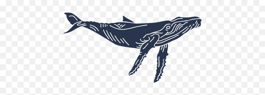 Blue Whale Sea Animal Silhouette - Baleen Whale Png,Blue Whale Png