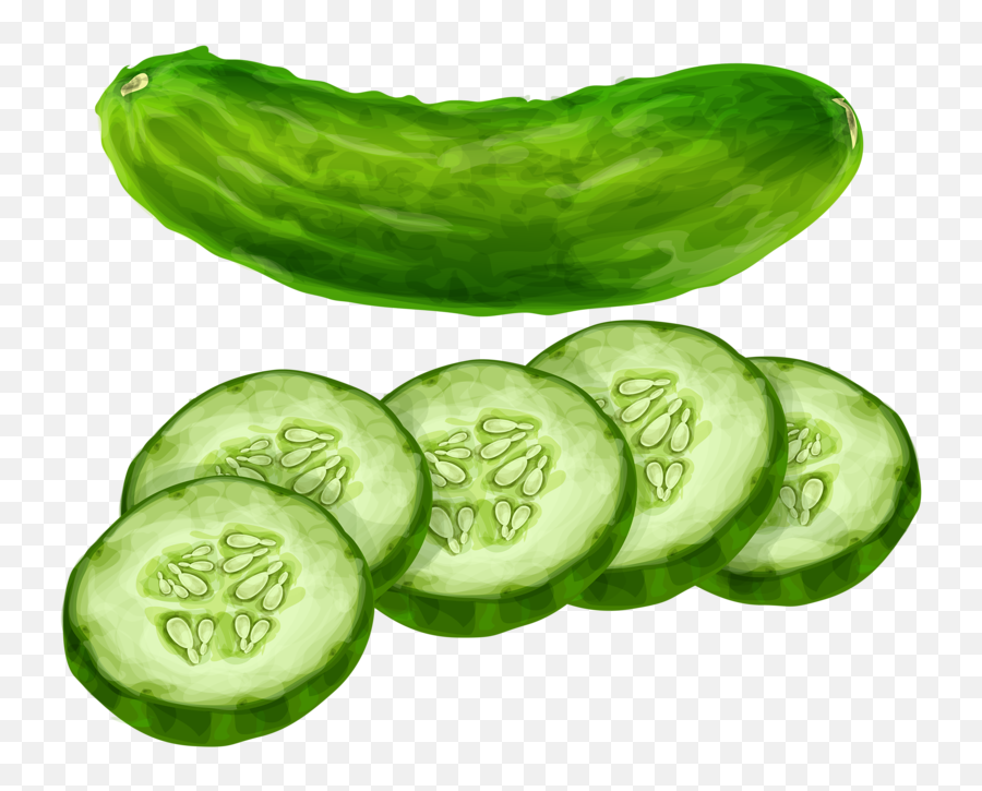 Vegetables Clipart Cucumber - Cucumber Clipart Png,Cucumber Png