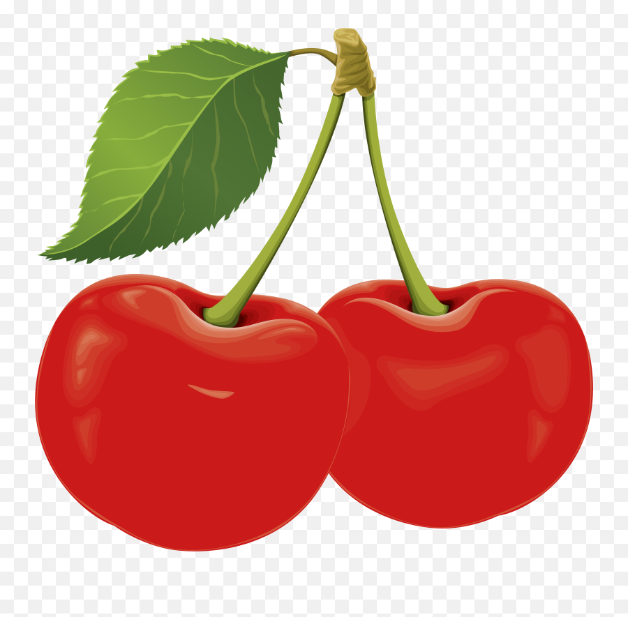 Cherry Clipart Transparent Free For Download
