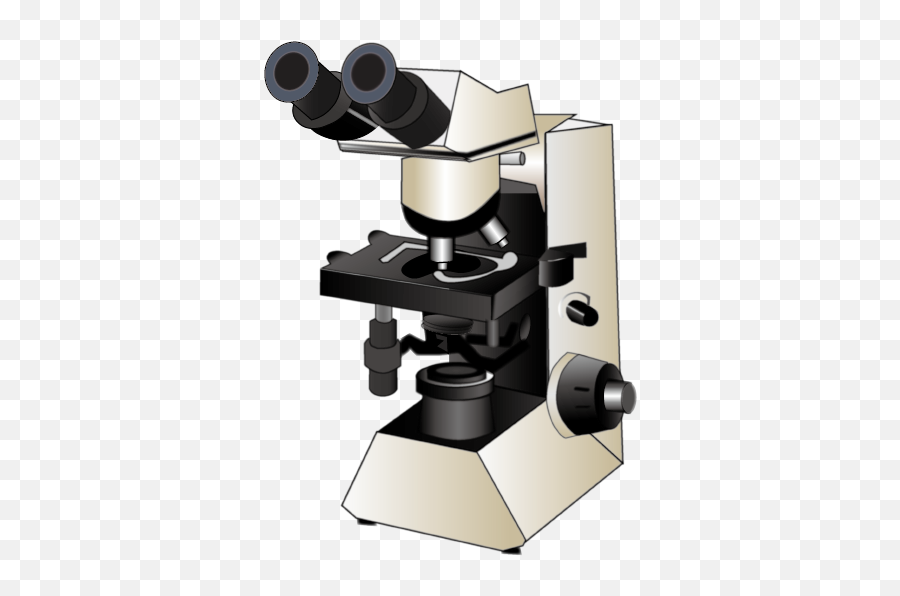 File201603 Upright Microscopepng - Wikimedia Commons Petrographic Microscope,Microscope Png