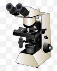 File201603 Upright Microscopepng - Wikimedia Commons Petrographic Microscope,Microscope Png