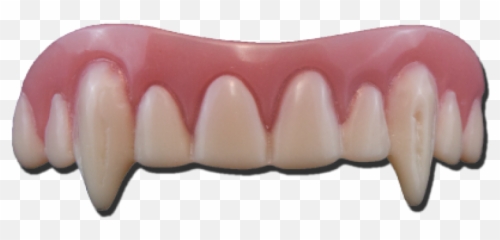 Vampire Dentures Fang Costume Veneer - Teeth Png Download Spirit Halloween Vampire Teeth,Dentures Png