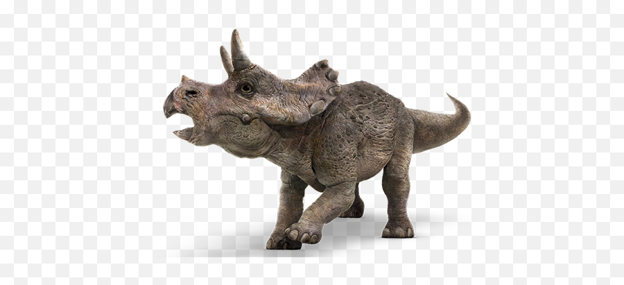 Download Triceratops - Jurassic World Fallen Kingdom Baby Triceratop Jurassic Park Dinosaurs Png,Jurassic World Fallen Kingdom Logo Png