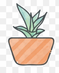 Succulent Identification U0026 Care Tips Studios - Tiny Succulent Clip Art Png,Succulent Icon Transparent