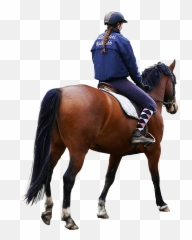 Pin - Horse Rider Png