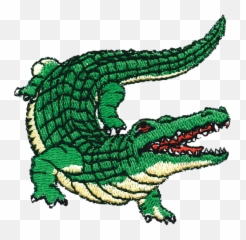 Download Hd Caiman Clipart Gator - Crocodilehead Png Alligator Drawing With Color,Gator Png