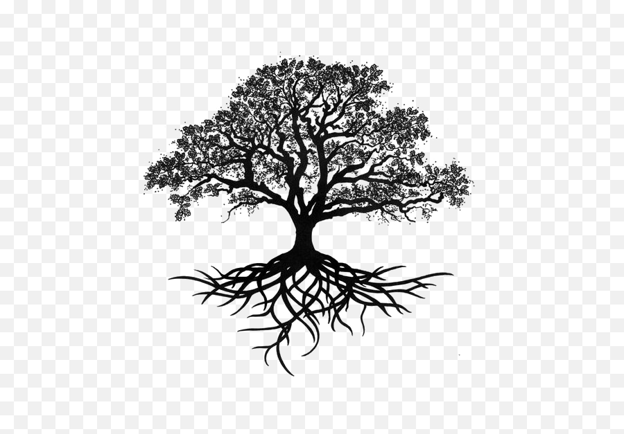 Download Oak Silhouette Tree Drawing Trees Png Free - Oak Tree Tattoo Designs,Free Tree Png