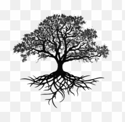 Download Oak Silhouette Tree Drawing Trees Png Free - Tattoo Designs