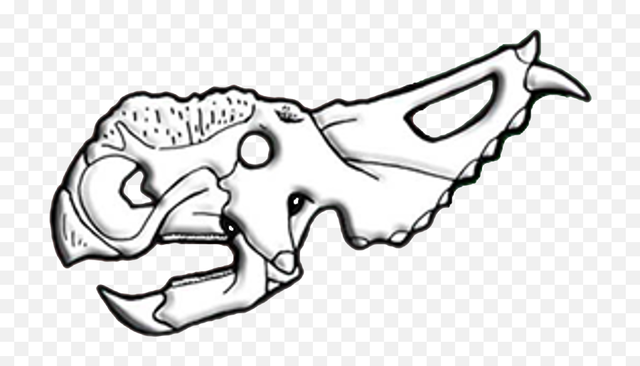 Filepachyrhinosaurus Skull Diagrampng - Wikimedia Commons Pachyrhinosaurus Skull Sketch,Skull Drawing Png