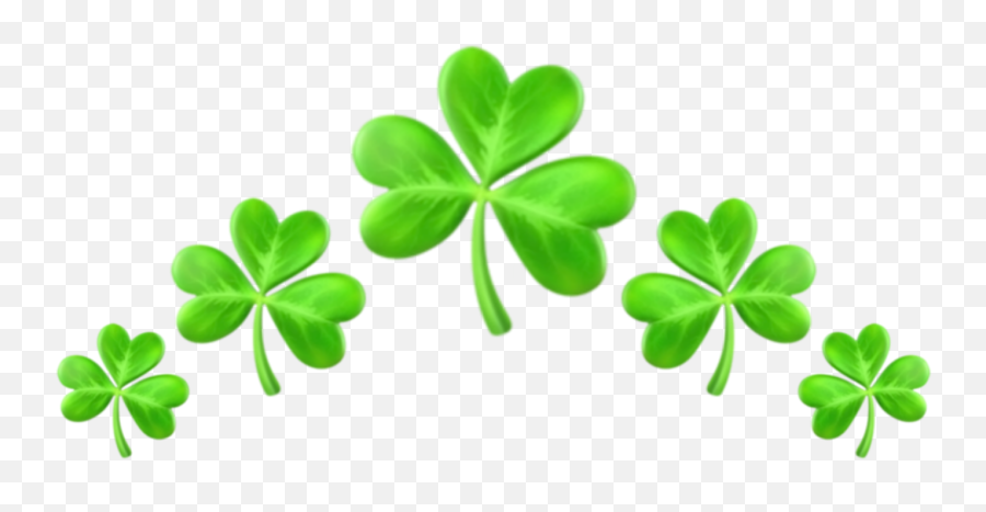 Freetoedit Image By Eliseeex070 Png Four Leaf Clover Icon