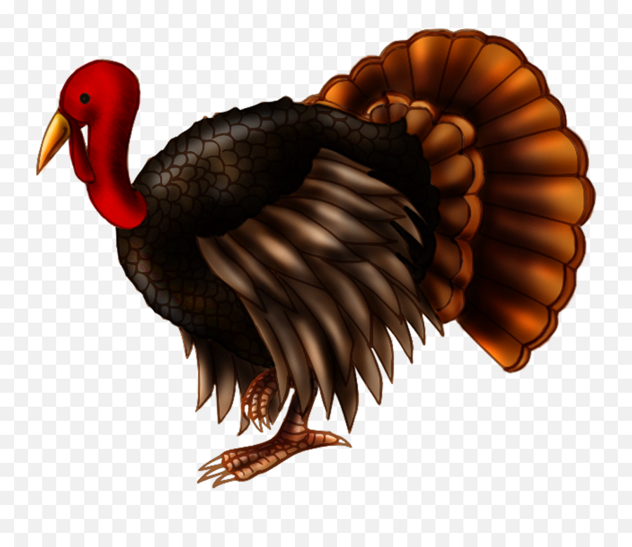Library Of Realistic Turkey Clipart Royalty Free Stock No - Turkey With Clear Background Png,Turkey Clipart Transparent Background