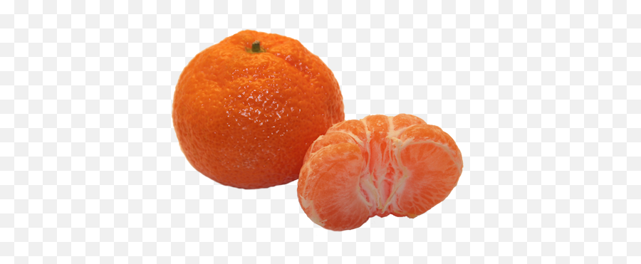 Download Hd Tangerines - Satsuma Fruit Transparent Png Image Satsumas Fruit,Orange Fruit Png