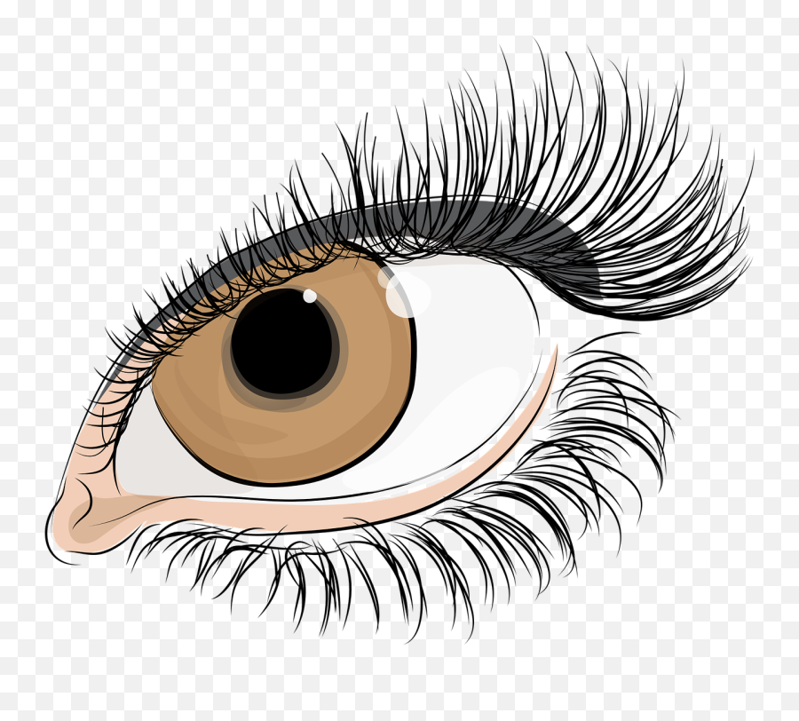 Download Eyelashes Drawing Watercolor - Eyelash Parts Of Body Png,Eyelashes Transparent Background