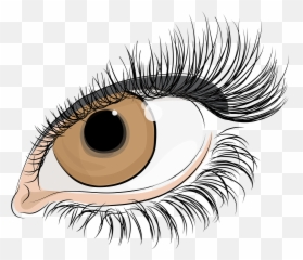 Download Eyelashes Drawing Watercolor - Parts Of Body png