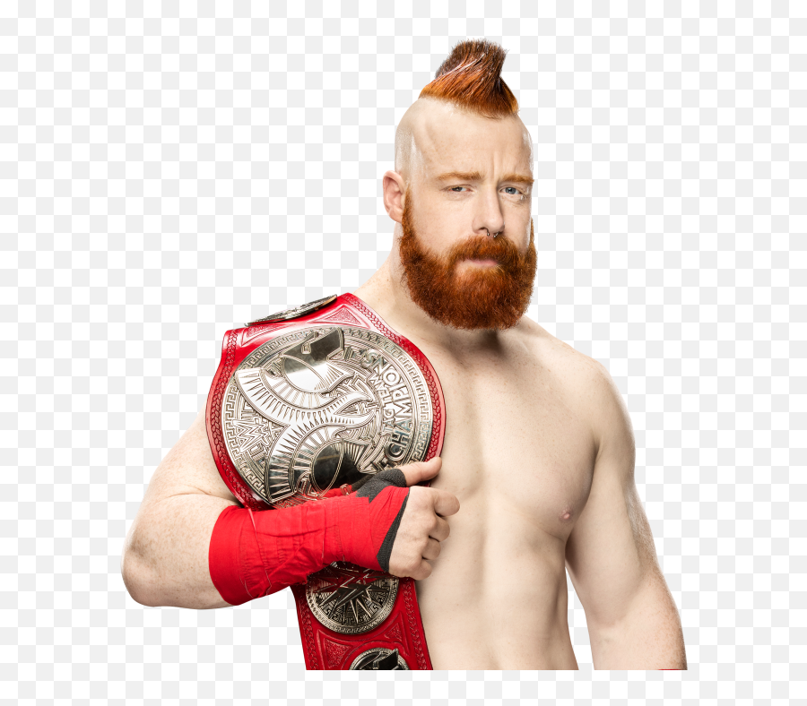 Sheamus Png Transparent Picture - Elimination Chamber 2018 Matches,Sheamus Png