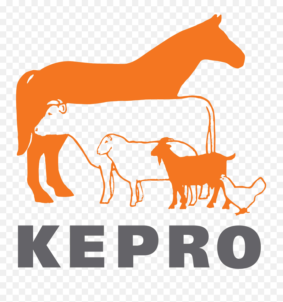 Kepro - Kepro Logo Png,Animal Logo