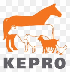 Kepro - Kepro Logo Png,Animal Logo